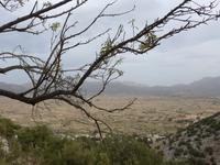 Kreta, Lassithi-Hochebene 