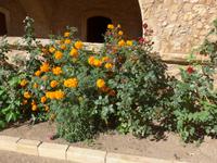 Kreta, Arkadi Kloster