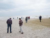  Pause an der Adria bei Fano