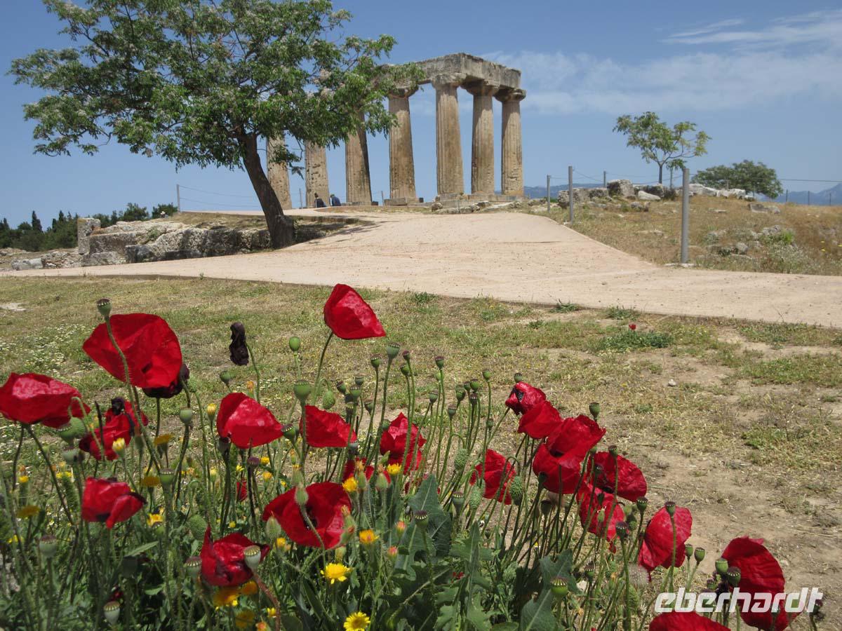  Apollonempel in Alt-Korinth
