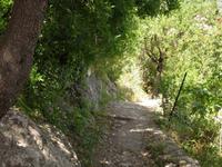  Verwunschener Pfad in Mistras