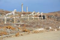 Die Löwenterrasse auf Delos 