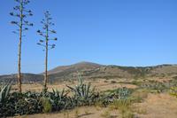Landschaft in Sangri auf Naxos