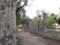 Im Gymnasion von Olympia