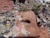 Ziegel im Mauerwerk von Basilika A in Philippi. Fußabdruck eines Kindes