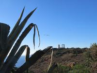 Kap Sounion (6)