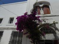 Kloster Panormitis - Symi