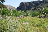 Kreta Landschaft