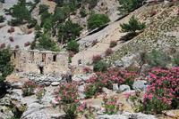 Kreta Samaria-Schlucht - Wanderung