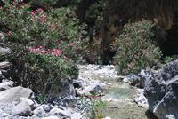 Kreta Samaria-Schlucht - Wanderung