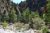 Kreta Samaria-Schlucht - Wanderung