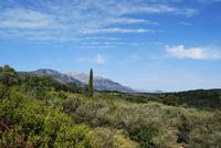 Kreta Landschaft