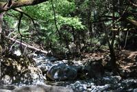 Kreta Samaria-Schlucht - Wanderung