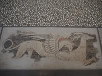 Bodenmosaik im archäologischen Museum in Pella