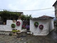 Insel auf dem Pambotisee