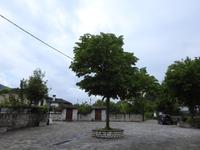 Insel auf dem Pambotisee