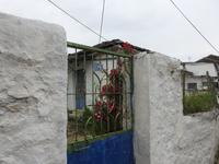 Insel auf dem Pambotisee