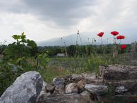 Ausgrabungsstätte in Philippi