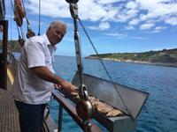 Kapitän beim Grillen