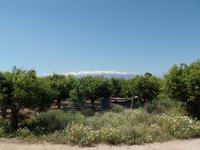 Heute fahren wir nach Chania, Lefka Ori