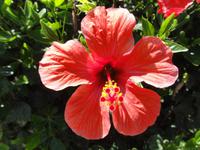 Hotel King Minos Palace