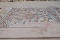 180. Mosaike im archäologisches Museum auf Naxos