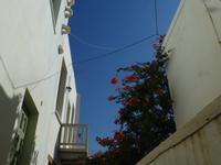 Spaziergang durch Naxos