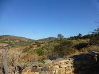 Inselrundfahrt Naxos