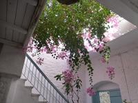 Innenhof im Dorf Chalki