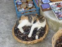 Berdorf Pyrgos auf Santorin