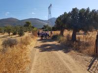 Wanderung nach Alt Styra