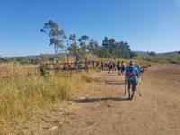 Wanderung nach Nea Styra