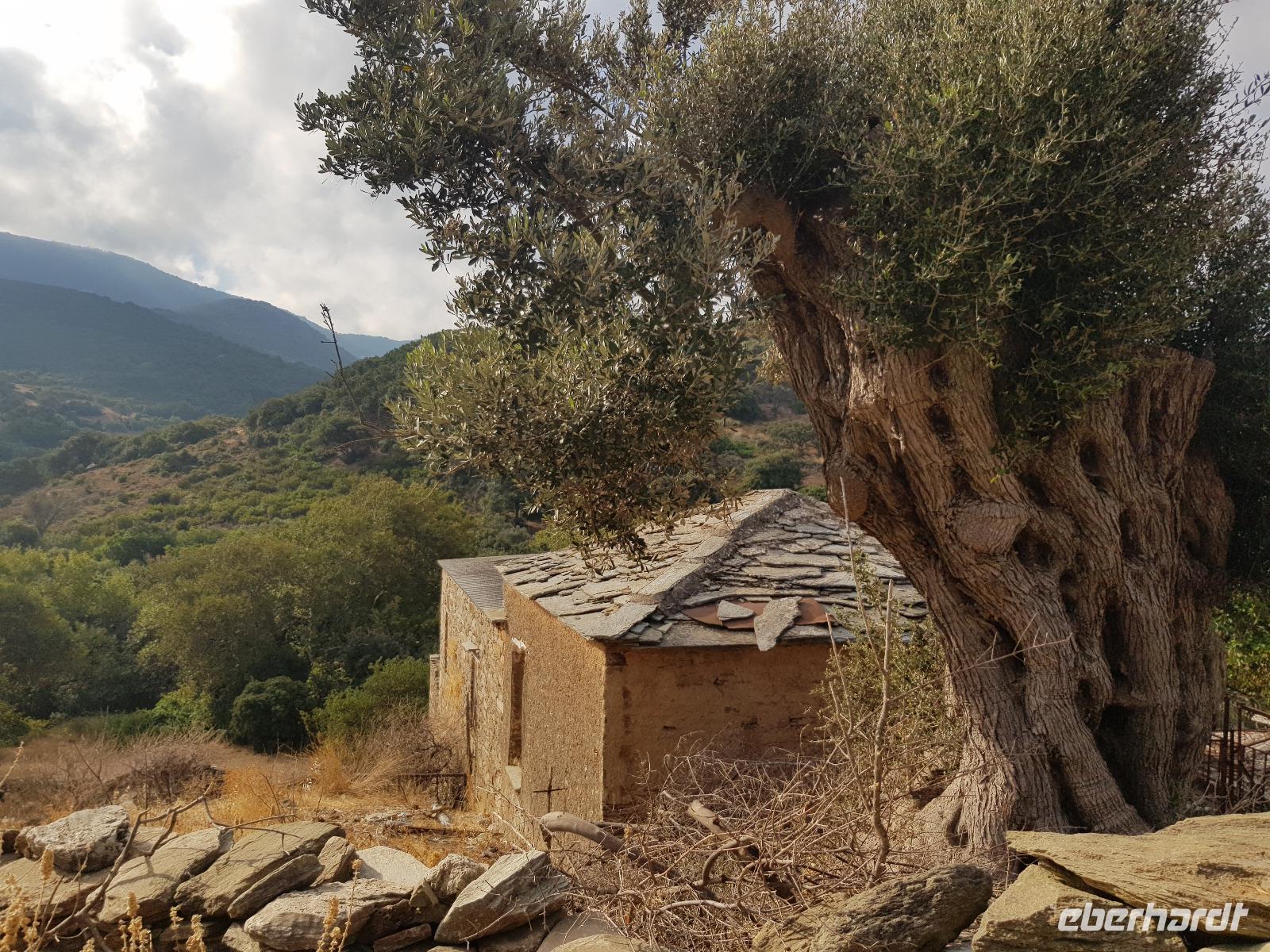 Wanderung nach Kellia