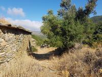 Kellia-das verlassene Dorf