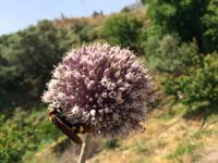 186 Impressionen