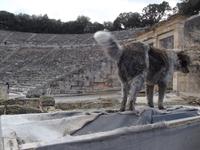 Epidaurus Theater