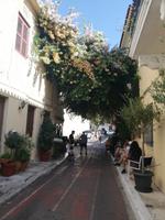 Bougainville-strauch in der Plaka