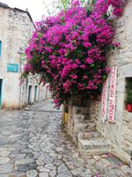 Areopoli - romantisches steinverziertes Dorf mit Bougainvillen