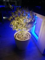 Dekoration im Hotel Titania