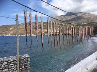 Oktobustentakel in Itilo