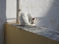 Kloster Paleokastritsa Korfu