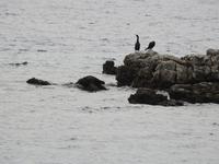 Bootstour Lefkada Griechenland 