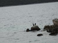 Bootstour Lefkada Griechenland 