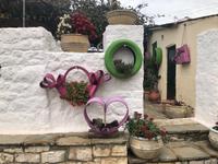 Insel auf dem Pambotisee Griechenland