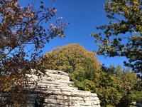 Steinwald Zagori Griechenland