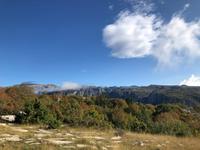 Steinwald Zagori Griechenland