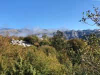 Steinwald Zagori Griechenland