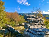 Steinwald Zagori Griechenland