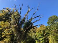 Vicos Schlucht Griechenland