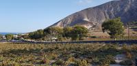 Santorin - Weinverkostung im Weingut Argyros